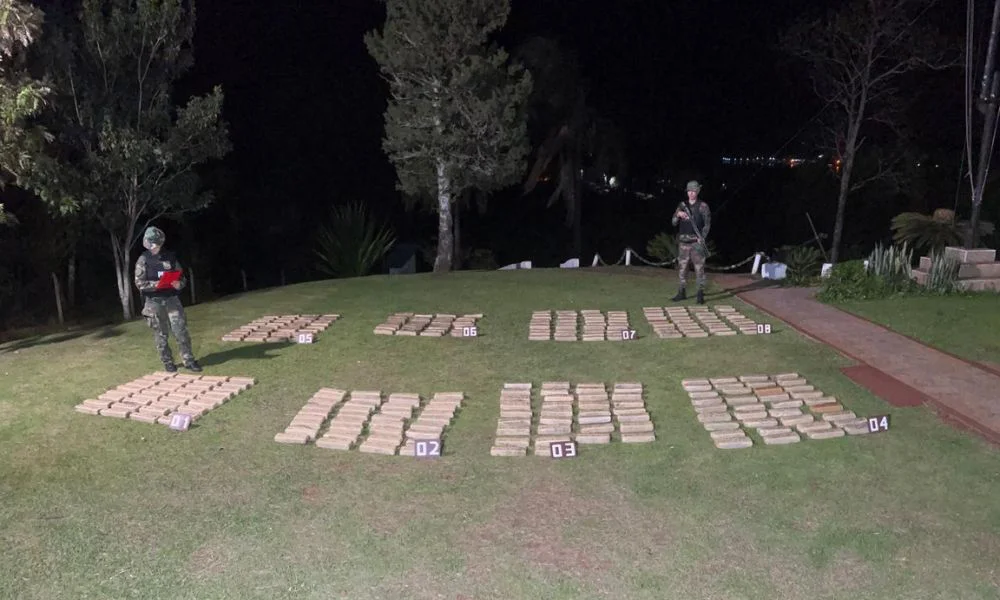 Incautan 223 kilos de marihuana en Misiones