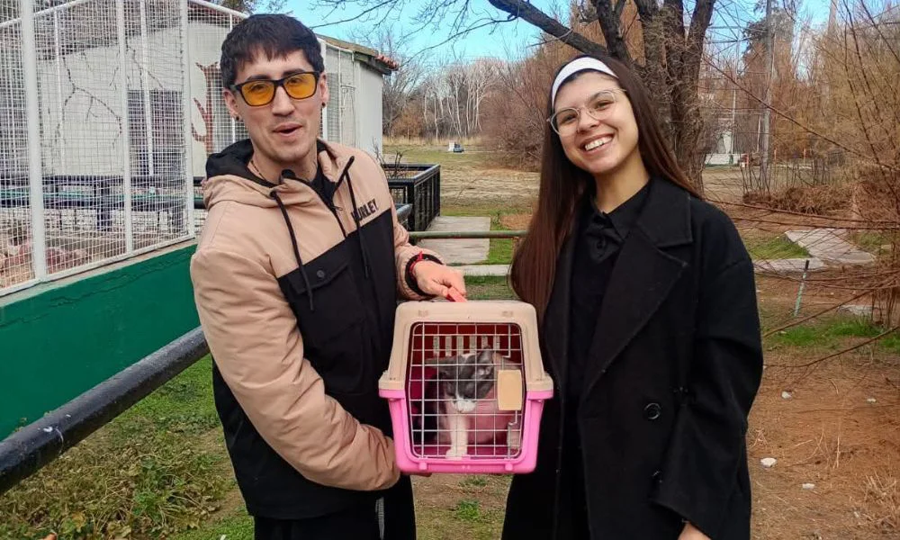 Adopción responsable de animales rescatados en Rawson