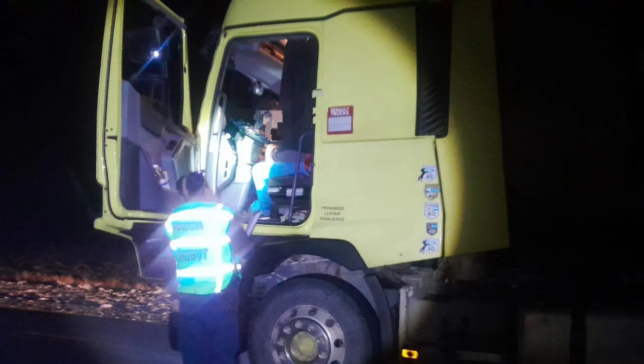 Camión detenido en ruta 40
