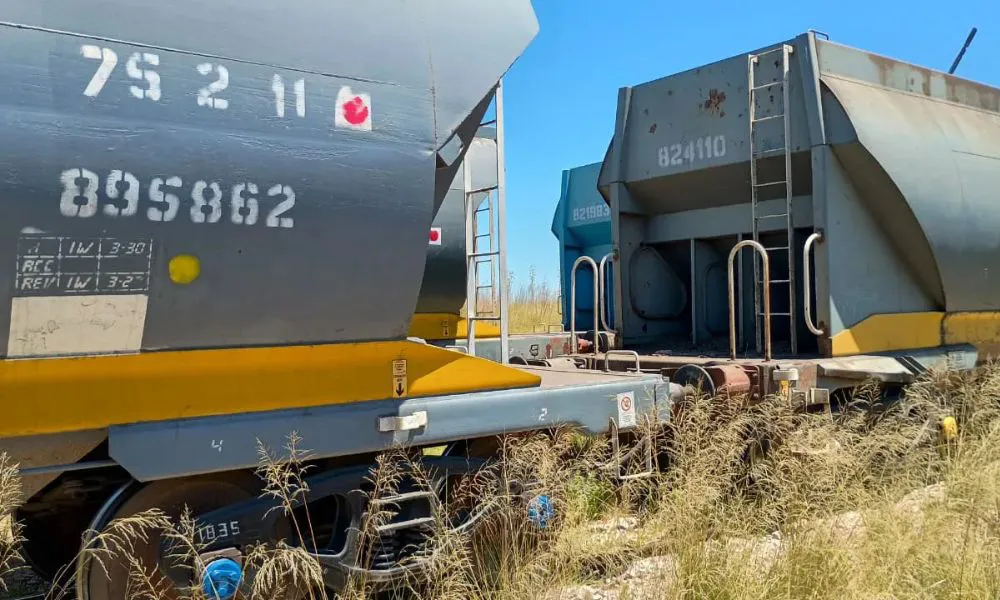 Un adolescente murió arrollado por un tren de carga. Foto InfoHuella