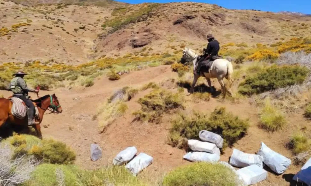 Bultos abandonados cerca de chile