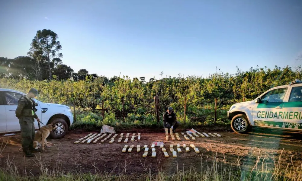 incautan más de 84 kilos de marihuana y armas en un operativo nocturno