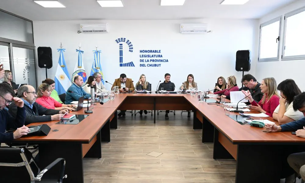 Comisión de Asuntos Constitucionales Diputados de Chubut