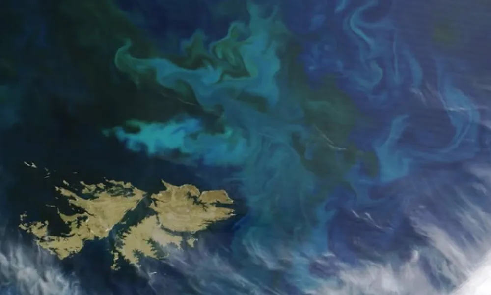 Islas Malvinas