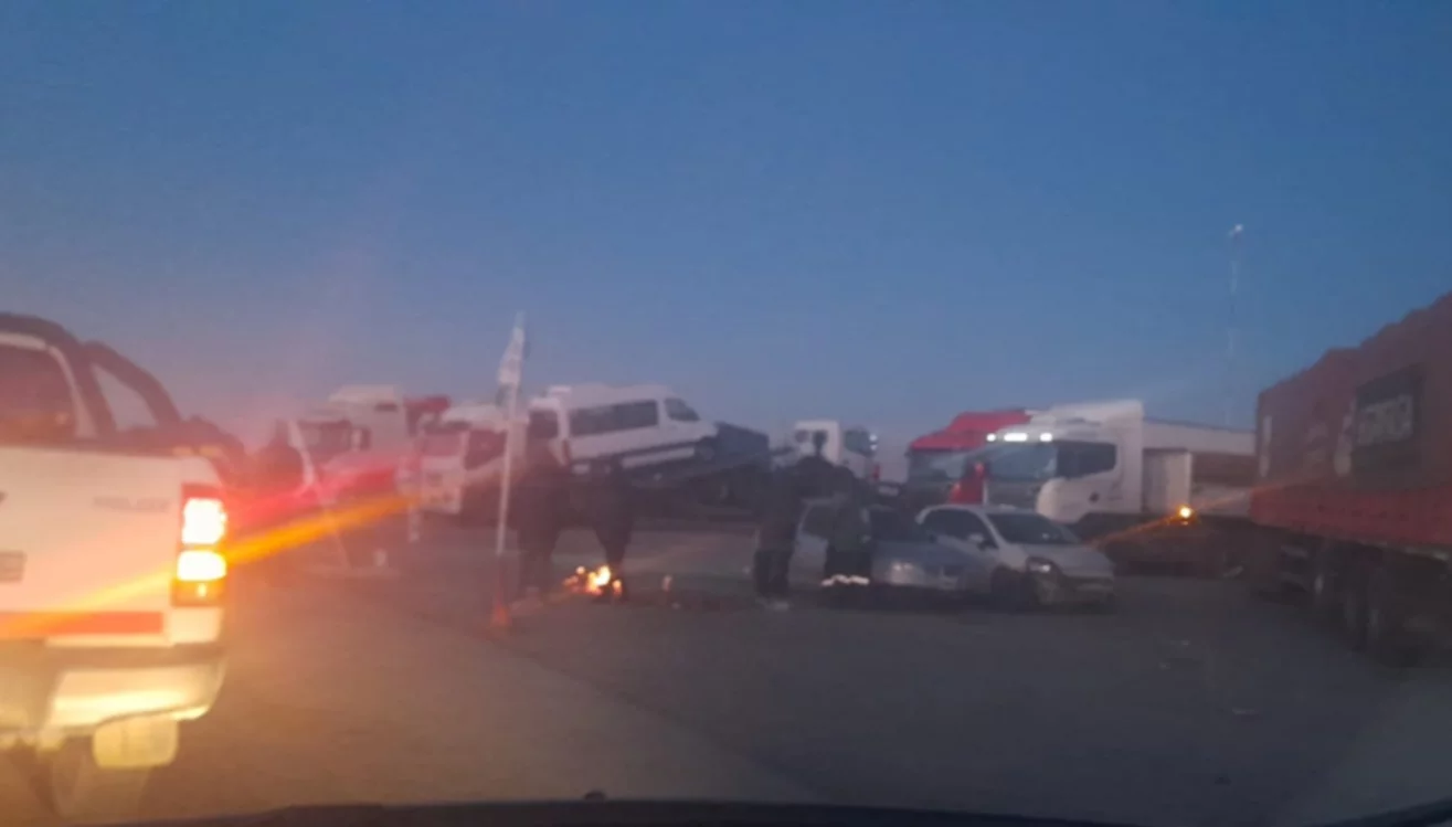 Paro madryn (1)