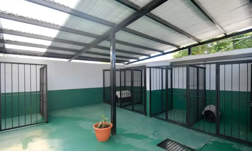 nuevas instalaciones