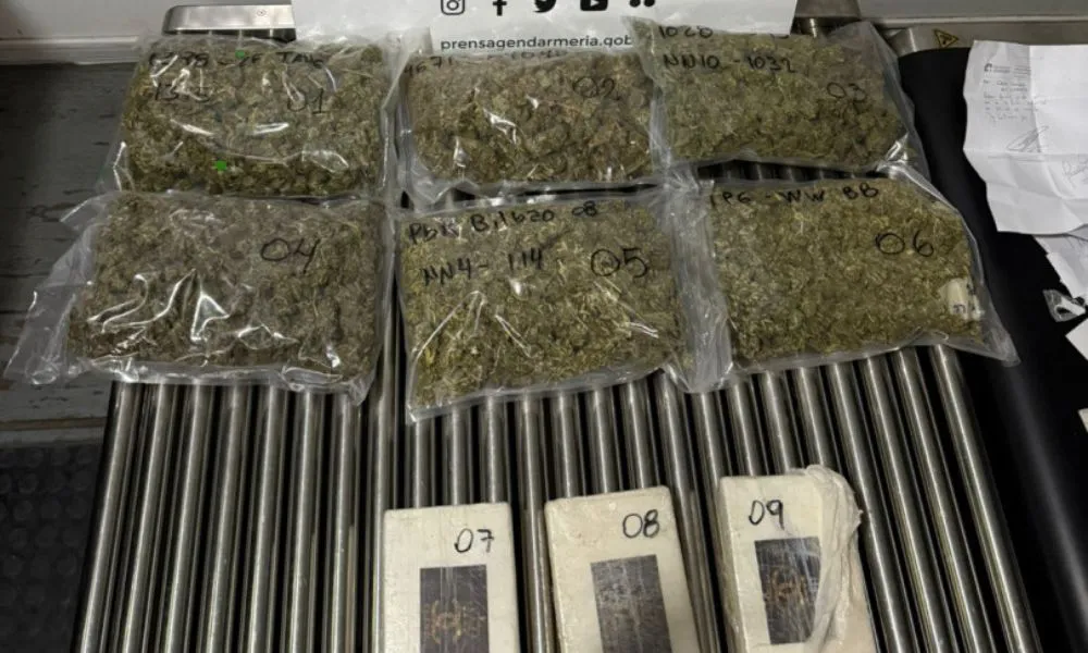 Una pareja fue detenida con droga en un control sobre la Ruta 22