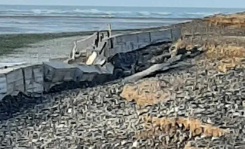 Magagna después de la marejada 1