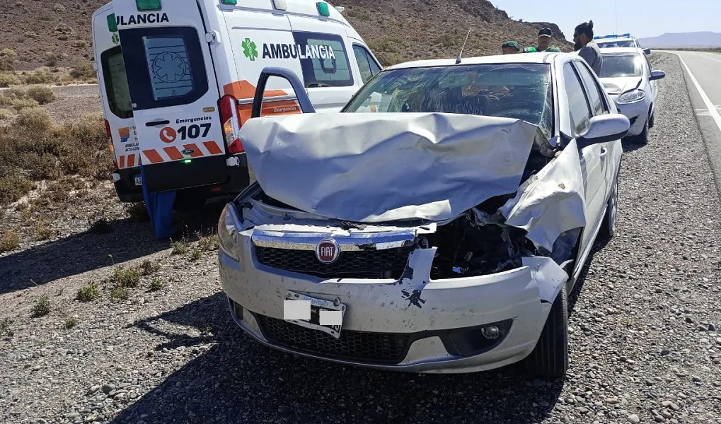 AUTO CHOCA CON GUANACO