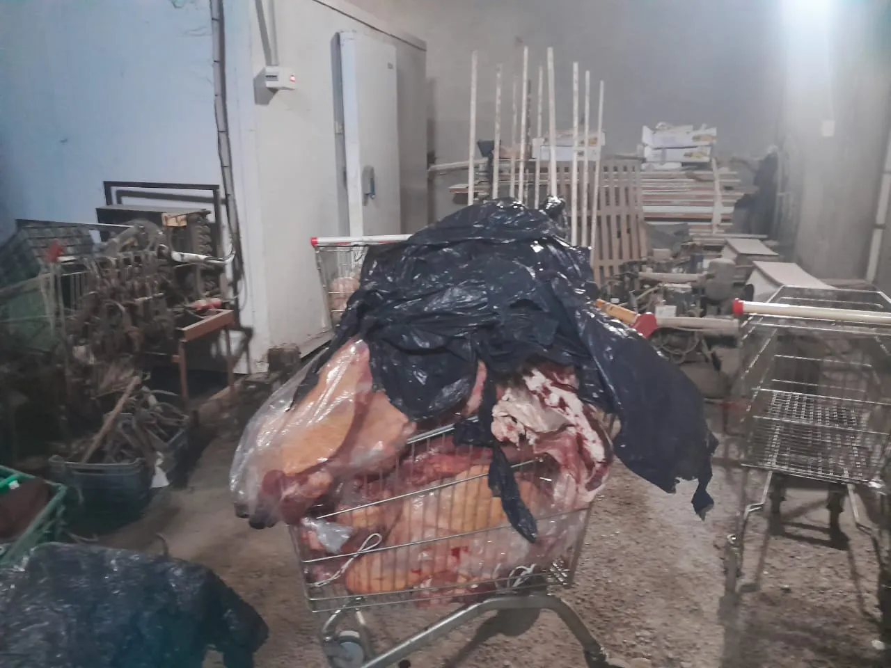 Imagen de WhatsApp 2025-04-15 a las 17.18.25_f6bdd79e