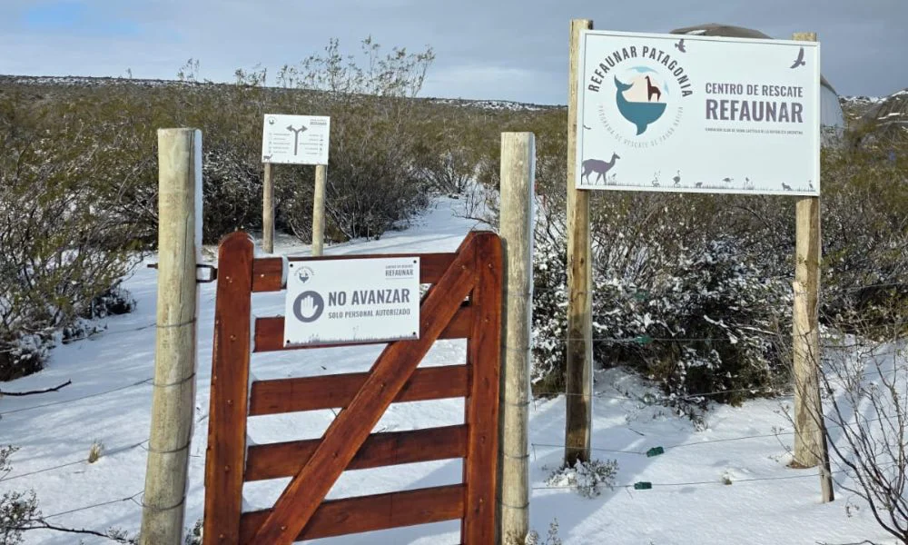 Nieve en REFAUNAR