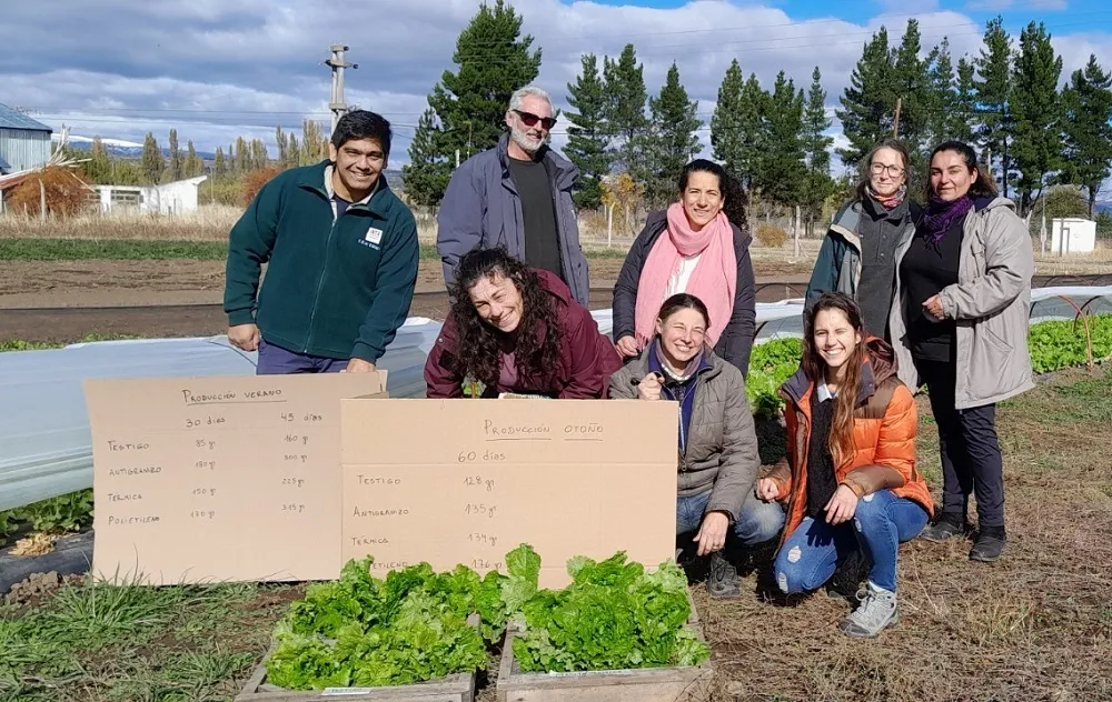 pruebas de uso de fertilizantes orgánicos en cultivos hortícolas de la Cordillera