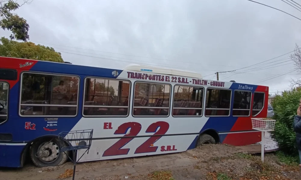 Colectivo encajado