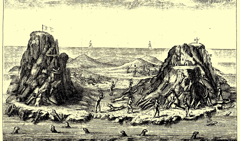 Caza de lobos marinos realizada por trabajadores de la Real Compañía Marítima en la Isla Pingüino Dibujo de 1793. Diccionario histórico de los artes de la pesca nacional. Tomo 4. Madrid: Imprenta de la viuda de Don Joaquín Ibarra.