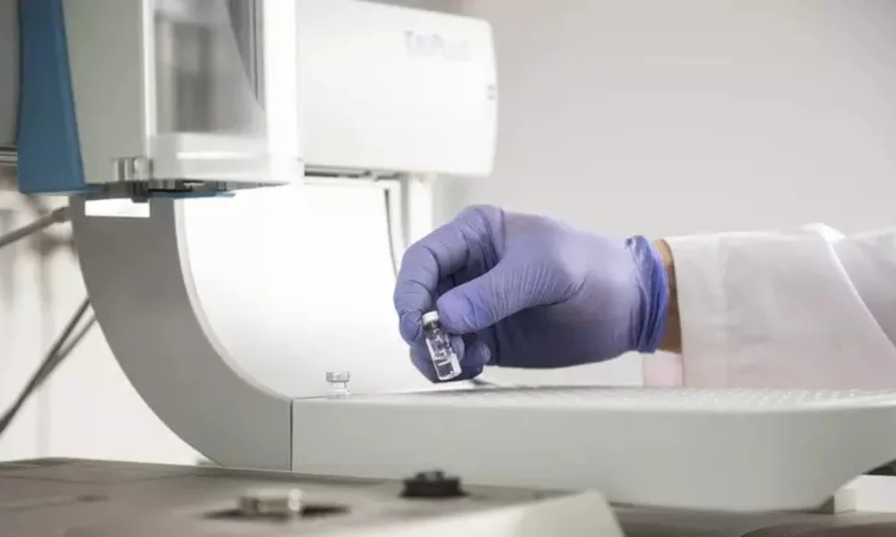 taller de estrategias del CENPAT