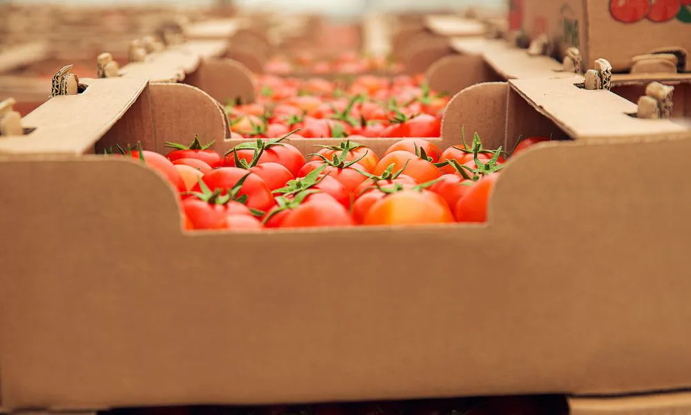 Importaciones de frutas y verduras. Foto Freepik