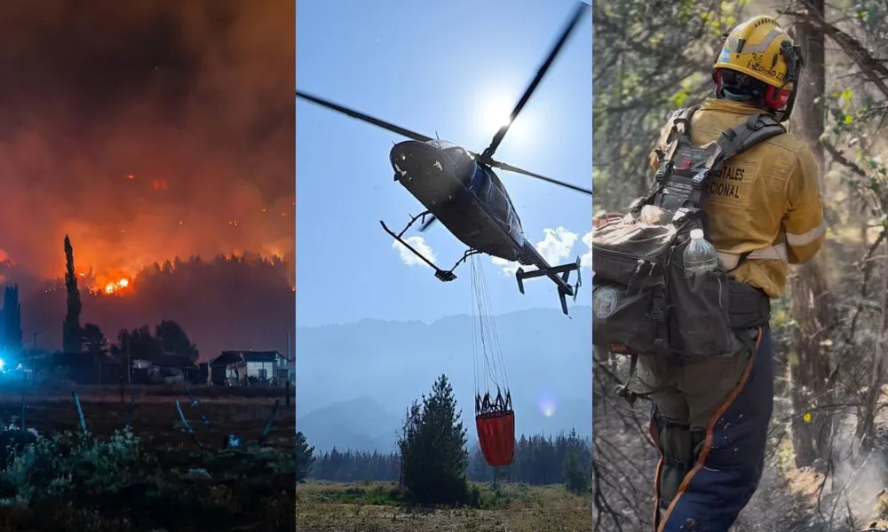 Incendio forestal en la cordillera