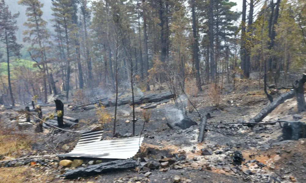 Incendio en El Pedregoso hacia Epuyen 5