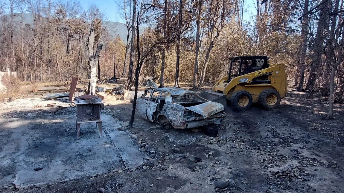 reconstruye el bolson