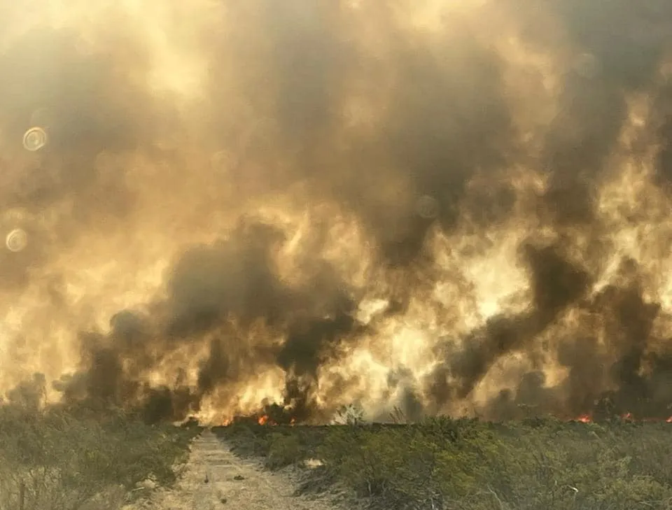 incendio la colmena 2
