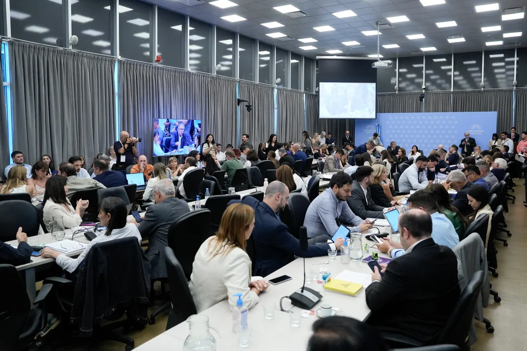 Comisión de presupuesto