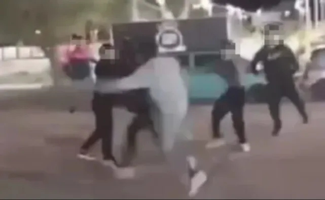 pelea adolescente