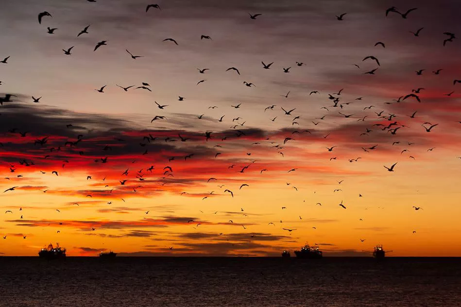 Colores del amanecer en Madryn por Darío Sander