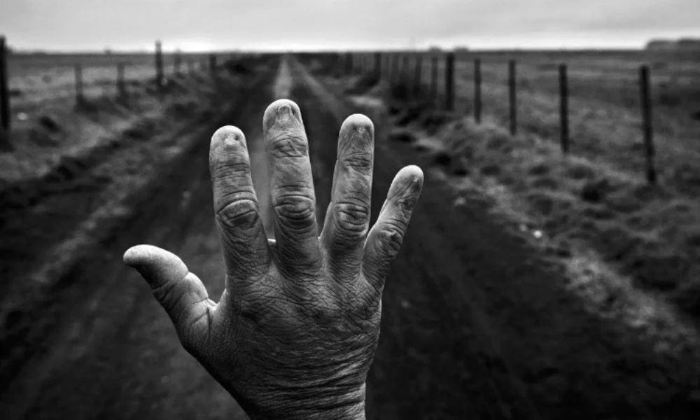 El trabajo de Pablo E. Piovano puso el foco en otro conflicto menos visible pero igualmente persistente.