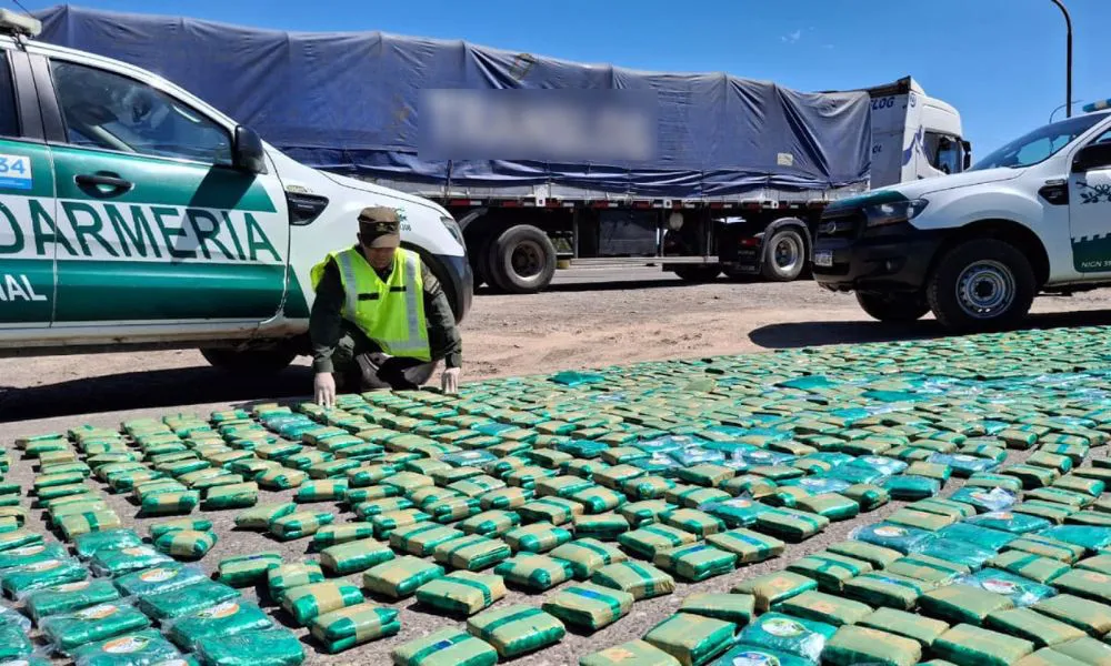 Hallan más de 300 kilos de hojas de coca en un camión que iba a Chile