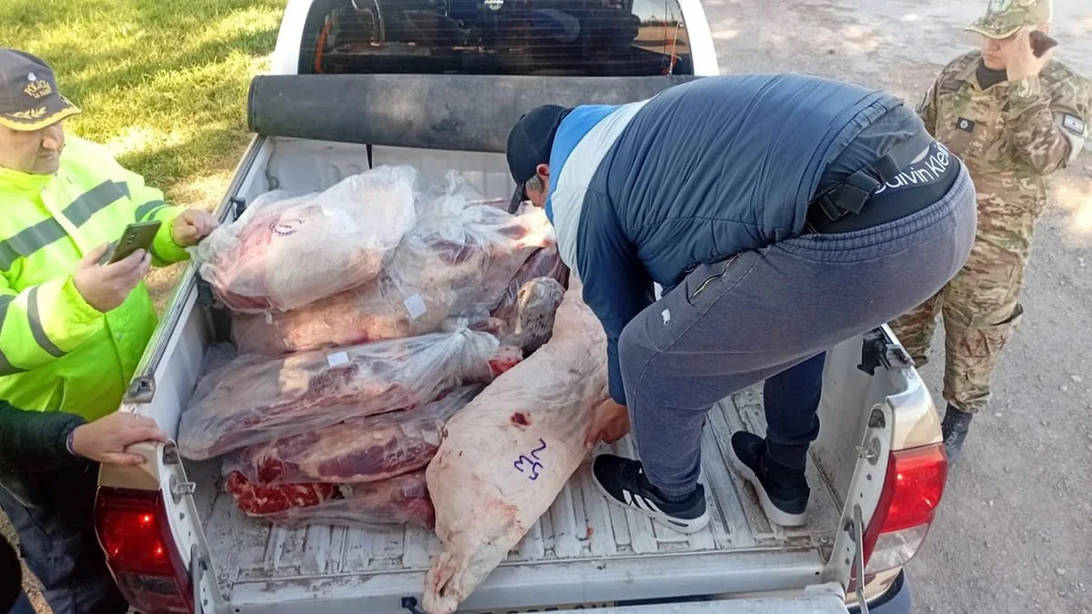 Decomisan 350 kilos de carne en la Ruta 102 foto Diario La Arena