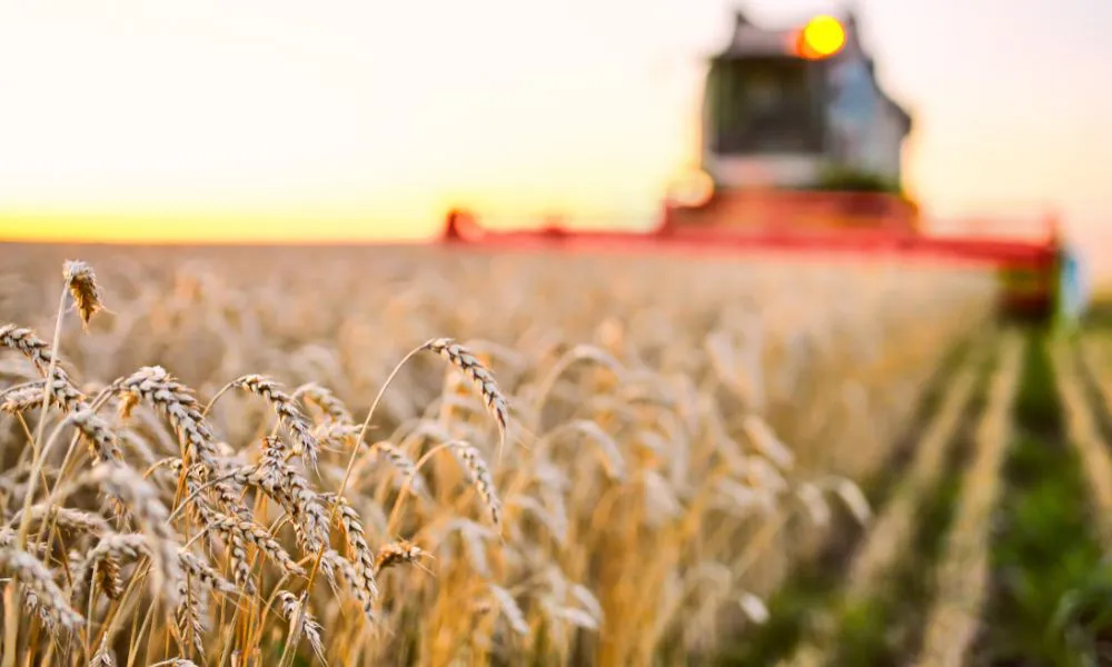 Agroindustria. Foto Freepik