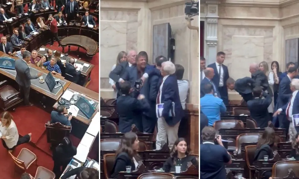 Pelea en Diputados