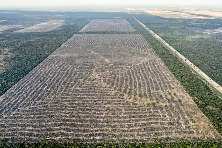 Desmontes en el norte