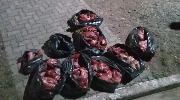 Bolsas de carne de guanaco decomisadas