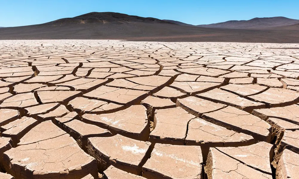 Desierto