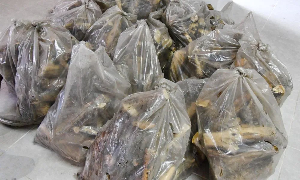 Bolsas de leña del plan calor