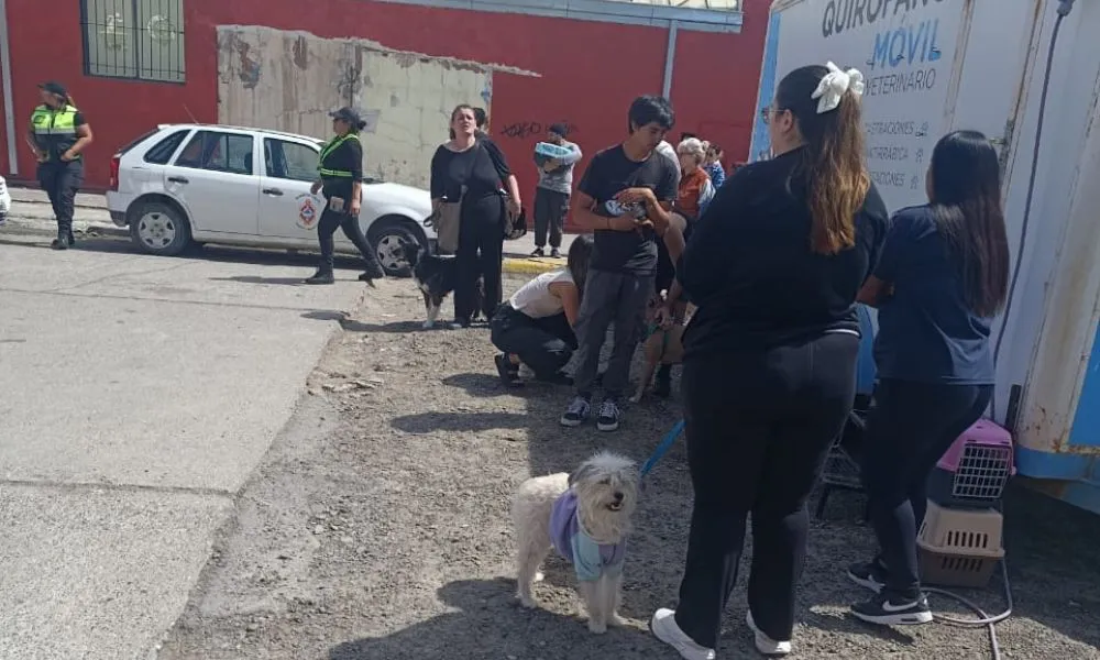 Vacunación antirrábica en Madryn. Foto: Javier Mercado.