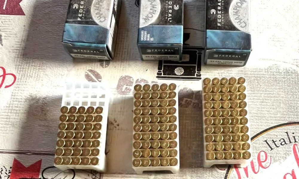 Secuestran municiones durante operativos en tres localidades de Chubut