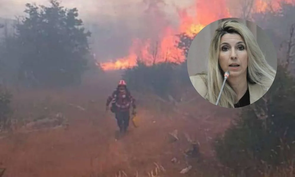 Jacqueline Caminoa sobre incendios