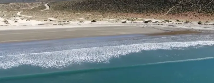 UN PERRO FUE ASESINADO DE UN DISPARO EN EL CUELLO EN UNA PLAYA DE CHUBUT