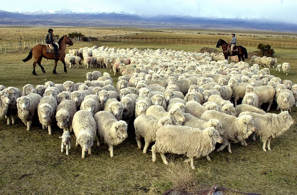 Producción Chubut
