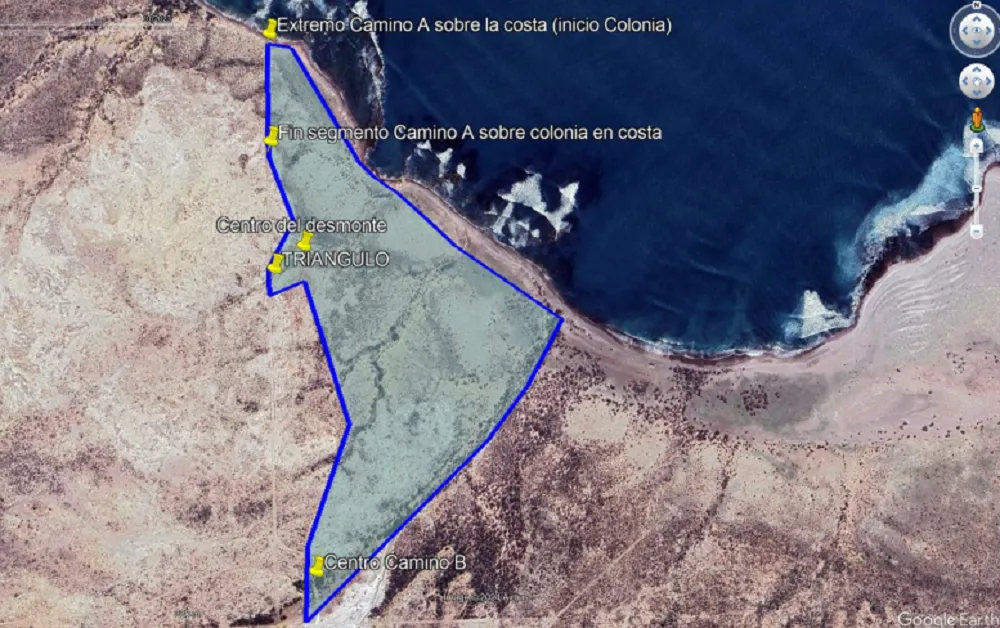 colonia pinguinos_11zon