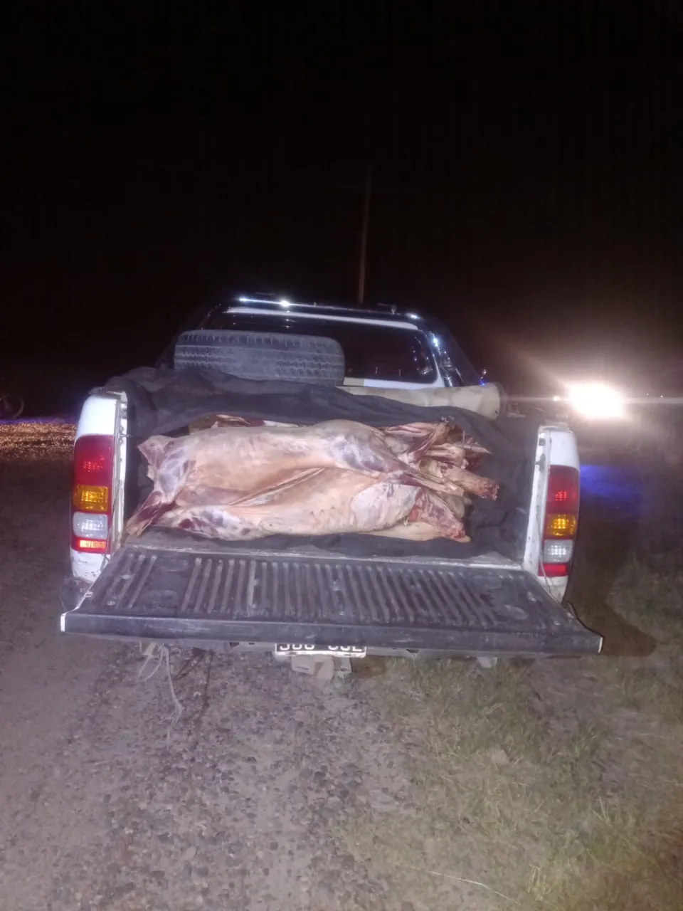 Capones faenados. Policía de Chubut