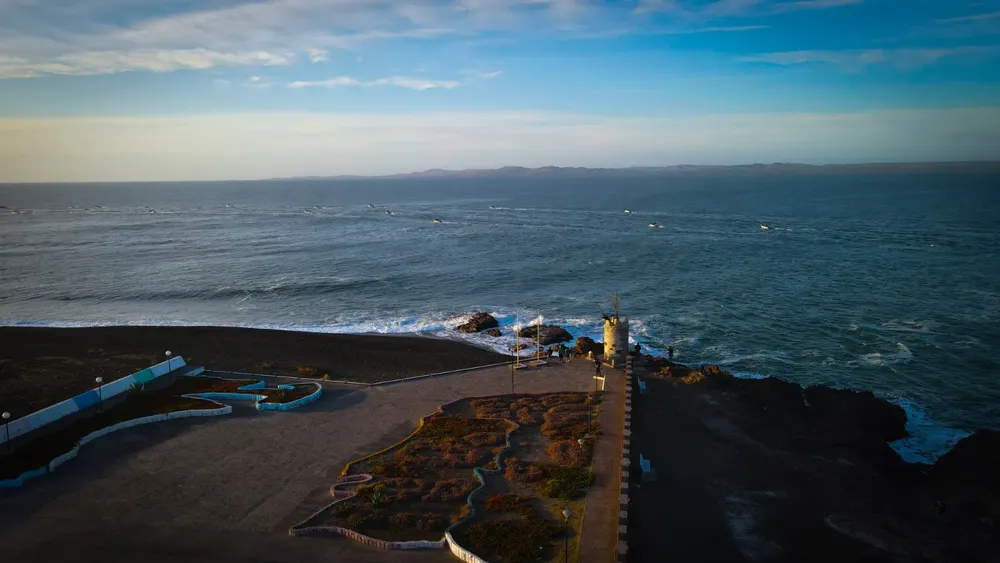 Camarones aclara vínculo con Fundación Rewilding