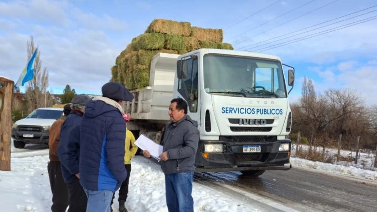 150 familias asistidas con forraje para sus animales