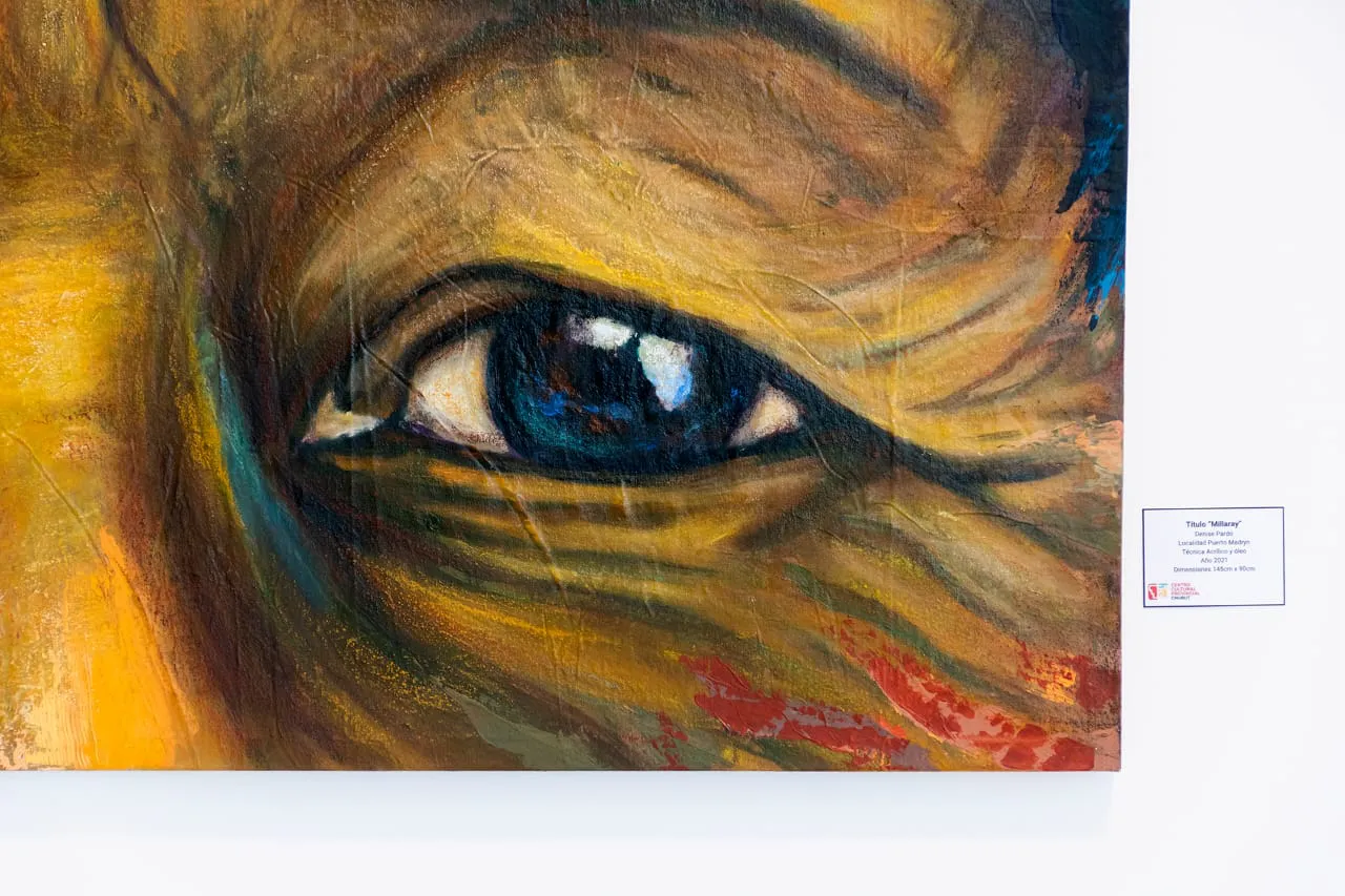 Muestra de Pueblos Originarios en Rawson