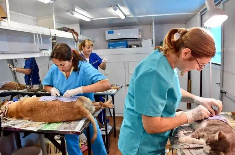 NUEVO CRONOGRAMA DE CASTRACIONES DEL QUIRÓFANO MÓVIL