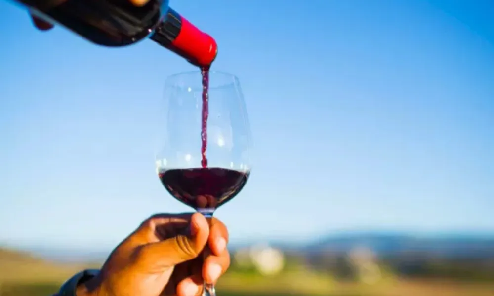 Viñedos en Chubut