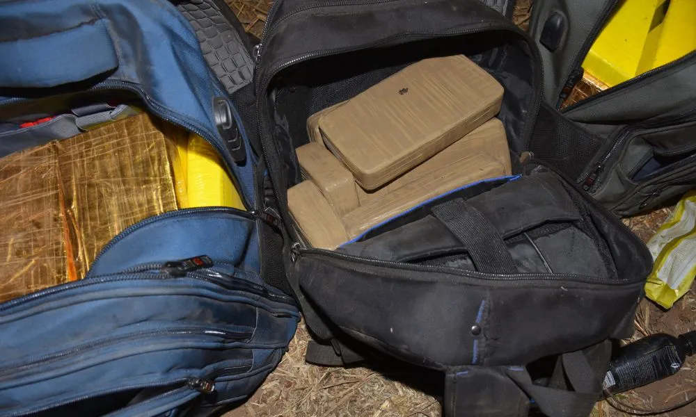 Interceptaron a dos personas con 55 kilos de cocaína en una zona montuosa