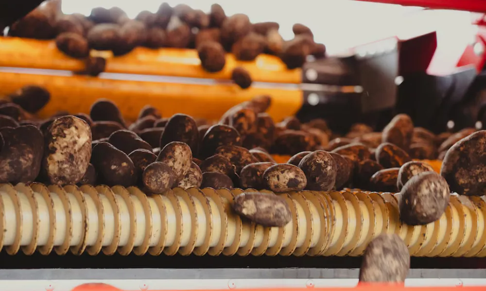 multinacional cierra en Munro